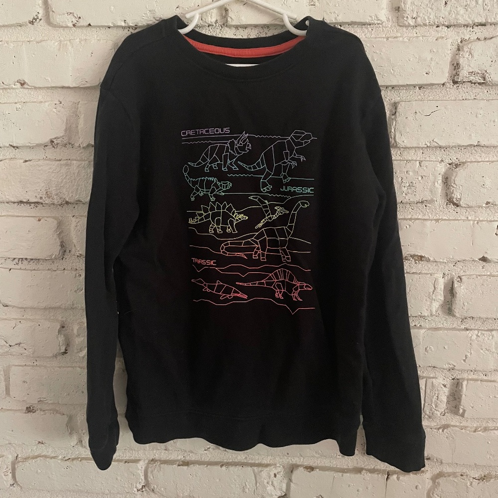 Cat and Jack Dino sweatshirt